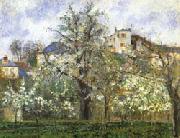 Camille Pissarro Vegetable Garden and Trees in Flower Spring china oil painting reproduction